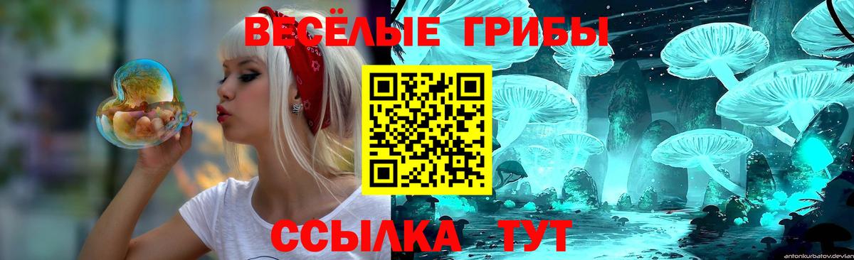 Галлюциногенные грибы GOLDEN TEACHER  Вход с VPN  Можайск  Псилоцибиновые грибы мухоморы 